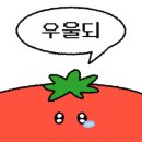 UNO GYM 이미지