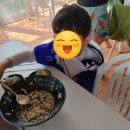 단양의아침 | 단양 소노벨 아이와 가족 단체 숙소 스탠다드 스위트 후기