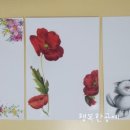청림화분 이미지