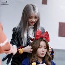 별콩 이미지