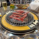 돗배갈매기 이미지
