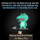 개포리더스공인중개사사무소 네이버블로그