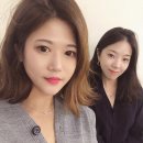 팍스투어 이미지