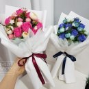 원칼라 이미지