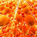 복합체육관화장실 이미지