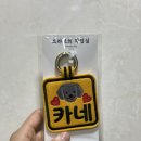 브라보의작업실 이미지