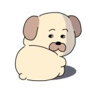 진심동물약국 이미지