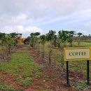 문화농장 이미지