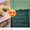 완두콩가족