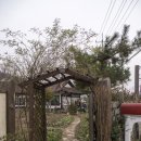 허브힐