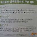 [출산] 산후도우미 후기 2탄 (마터피아 용인지사)