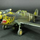 아카데미 P-40E WARHAWK "ALUTIAN TIGERS" 이미지