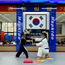 수룡관합기도 이미지