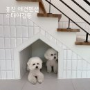 개목욕탕 | 홍천 애견펜션 스테이감동 독채라 더 좋아