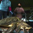 거북호텔 이미지