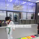 용인대 한여울 태권도장 이미지