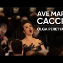 Ave Maria (Vavilov / Caccini) 이미지