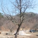 미나리부동산공인중개사사무소 이미지