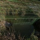 유진태양광발전소 이미지