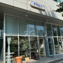 사파동224 | 창원사파동꽃집 플라워노트 감성감성한 꽃다발