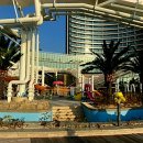 디 오아시 이미지