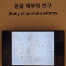 [관람후기]디즈니 애니메이션 특별전에 다녀왔습니다