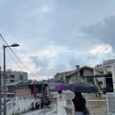 (주)리움 이미지