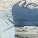 굿데이리조트 | 2025년 자라섬 페스티벌 후기 🎪 (였어야 했던 것)