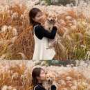 공원관리사업소 청사 | 두류정수사업소에서 가을 만끽하기 🍁