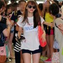 다솜 이미지