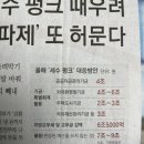 동아펑크 이미지