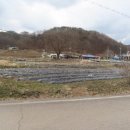 덕골경로당 네이버블로그