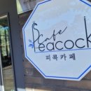 피콕빌리지 이미지