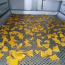 단호박 말리기 이미지