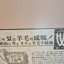 낙양목장 | 한림수직 보러 성이시돌센터를 방문한 니터의 후기