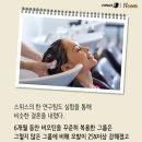 하루쿡 이미지