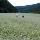 맹개마을체험휴양마을 이미지