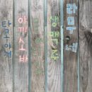 문어빵빵 이미지