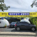 경북 청도 글램핑 캠프마징가 솔직후기
