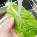 샐러드배달 친환경 쇼핑몰 팜네이처 다이어트 샐러드도시락 뚝딱!