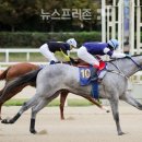 렛츠스포츠 이미지