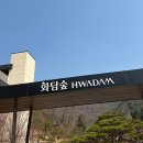 (주)화담 | 화담숲 3월 방문 후기 | 모노레일 예약 방법, 주차꿀팁, 근처맛집 공유