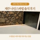 나인스파빌 | 제주도 숙소 추천 | 나인스파빌 자쿠지룸 후기 (수영장 비교 포함)