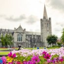 위도 아일랜드 이미지