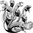 꿀잼PC방 이미지