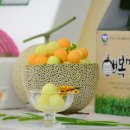 (주)호야여행사