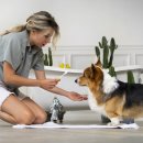 주식회사 펫플래닛 이미지