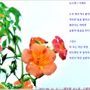 능소화 / 나태주 이미지