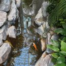 숲속으로 | [용인 핫플] 동화 속 숲속으로 입장! 압도적 스케일의 대형 식물원 카페 '포레스트 아웃팅스' 용인점 🌿☕