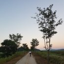 풍산읍보건지소 | 7월 낙동강 자전거길 점촌→상주→안동 둘째 날 라이딩 후기